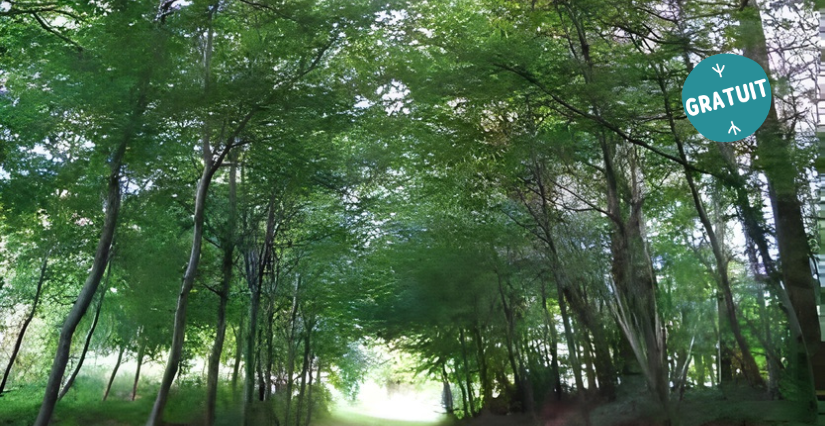 Sortie nature "La marche du temps", en famille, Espaces Naturels Sensibles, Ravigny