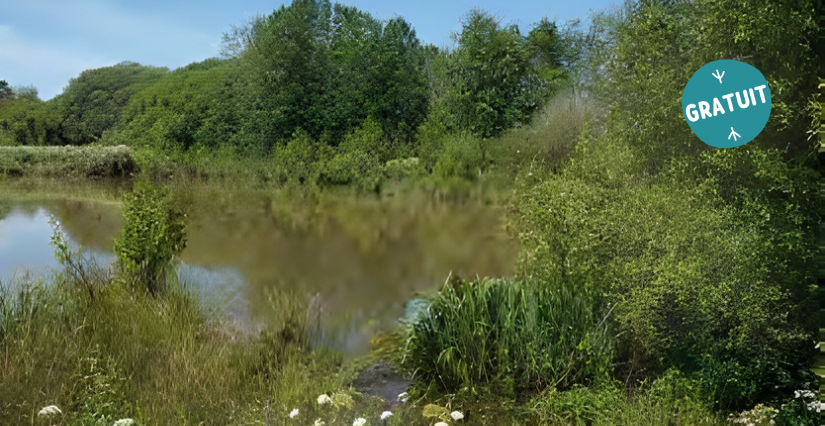 Sortie "Découverte de la base de loisirs", en famille, Espaces Naturels Sensibles, La Selle-Craonnaise