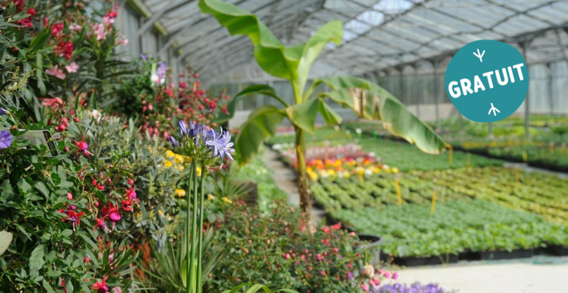 Printemps à la ferme : Les Serres Renazéennes, en famille, Renazé