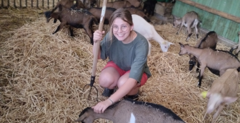 Printemps à la ferme de la Papinière "Le petit coin de paradis", en famille, St Georges Buttavent