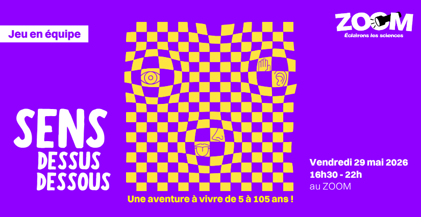 Jeu en équipe "Sens dessus dessous", de 5 à 105 ans, ZOOM, Laval