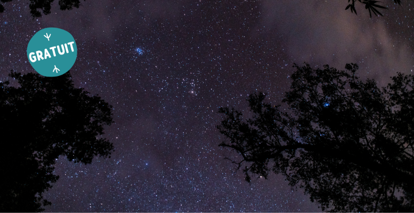 Soirée aux étoiles, à partir de 8 ans, Centre d'Initiation à la Nature, L'Huisserie
