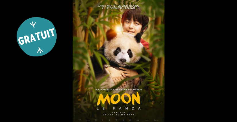 L'Été fantastique : ciné plein air "Moon Le Panda", en famille, Laval