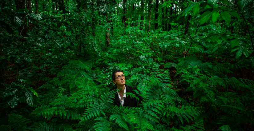 Théâtre "Le royaume des grands arbres", dès 7 ans, Loiron-Ruillé