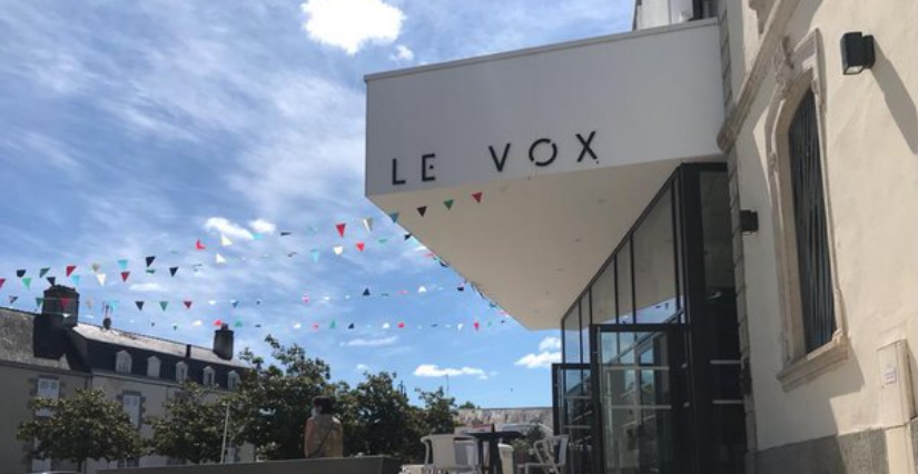 Soirée cinéma et jeu vidéo, château de Mayenne au cinéma Le Vox