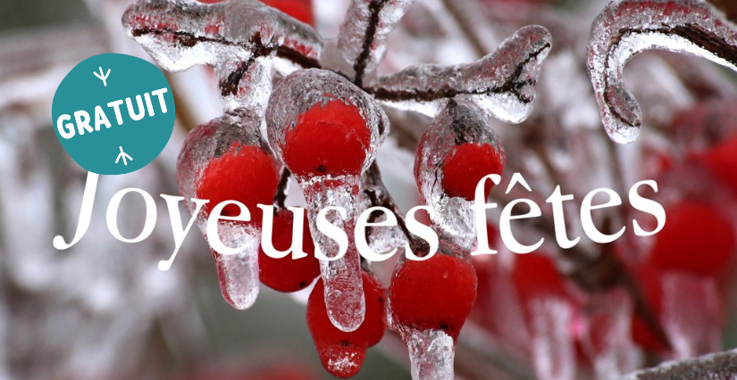 Fête de l'hiver à Saint-Berthevin, Conservatoire de Laval