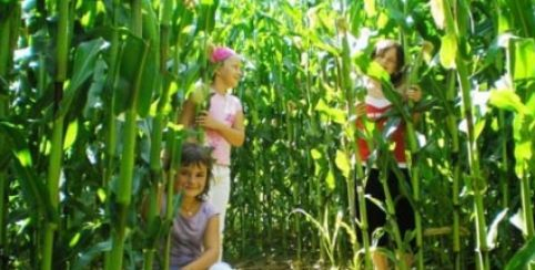 Les jardins des Renaudies, animations familiales et ludiques au cœur des fleurs !