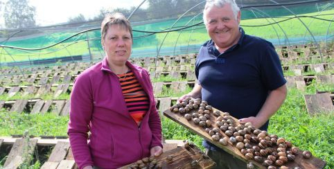 L'Été à la ferme : EARL Limero l'escargot mayennais, Marcillé la Ville