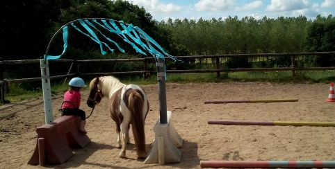 haras la chapellerie Thorigné en Charnie enfants famille chevaux poneys centre équestre