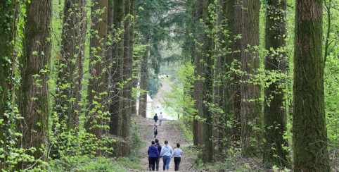 Ko Land Tay, des activités ludiques en pleine nature, Hambers