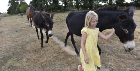 Fêter son anniversaire avec les animaux, à la ferme du Bois-Gamats, Laval